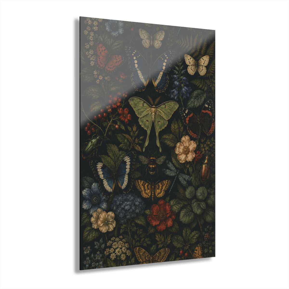 Botanical Archive- Acrylic Glass Art
