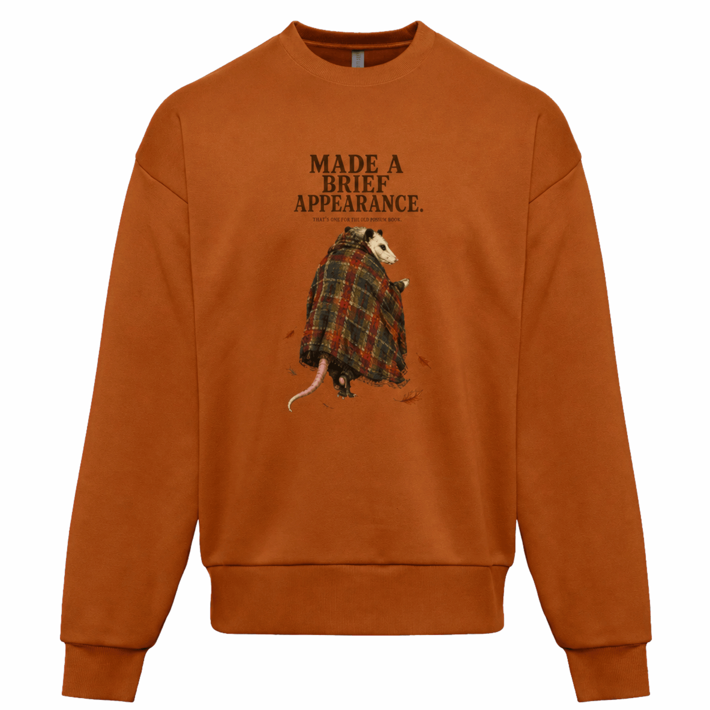 Opossums Appearance - Sweater