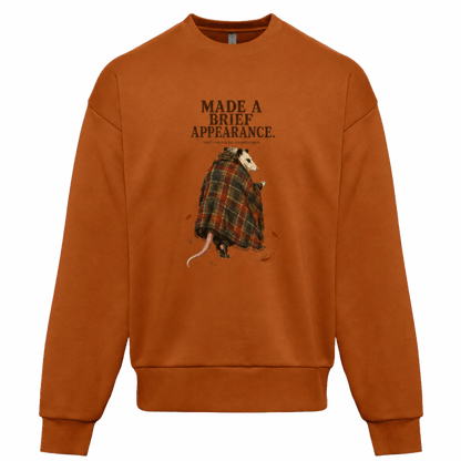 Opossums Appearance - Sweater