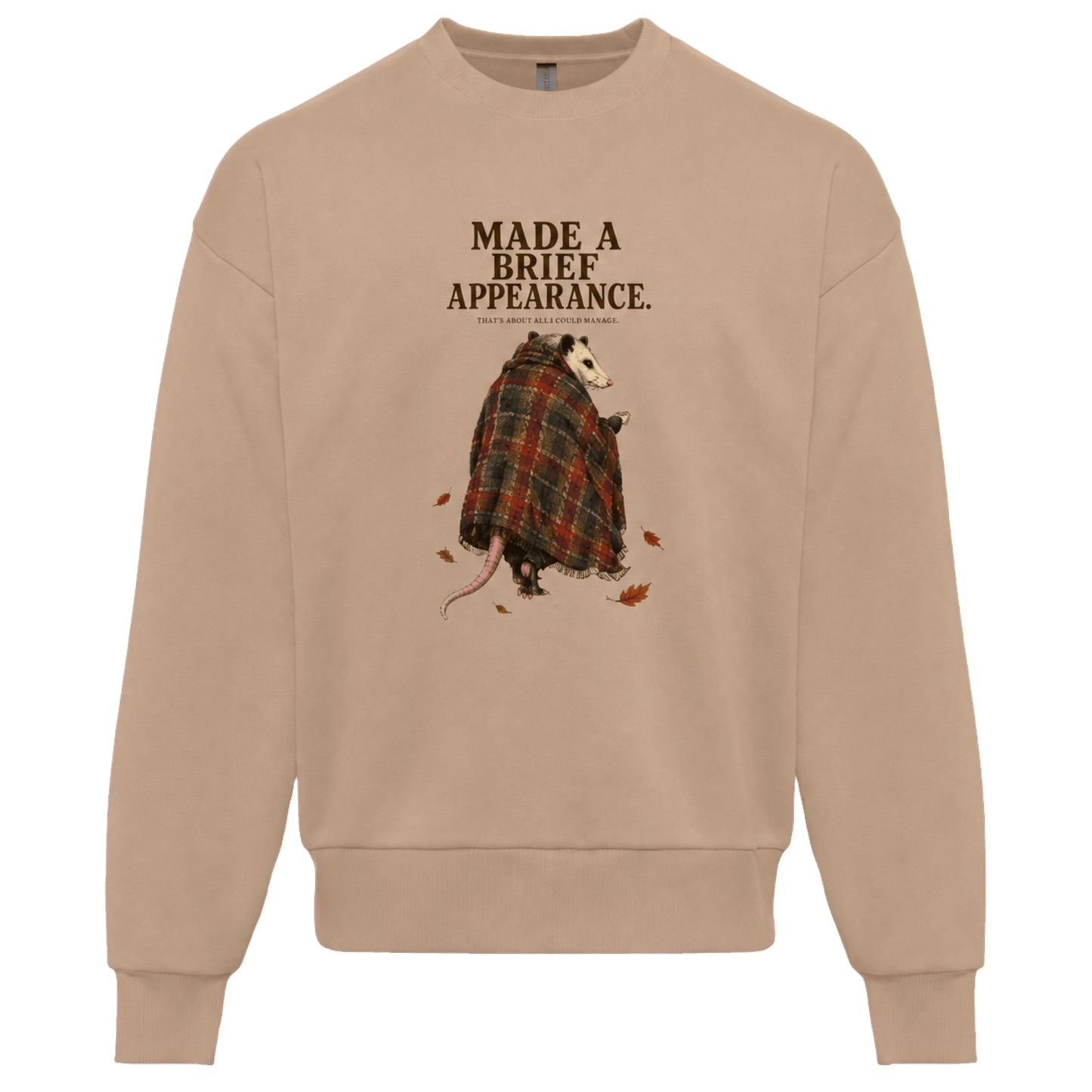 Opossums Appearance - Sweater