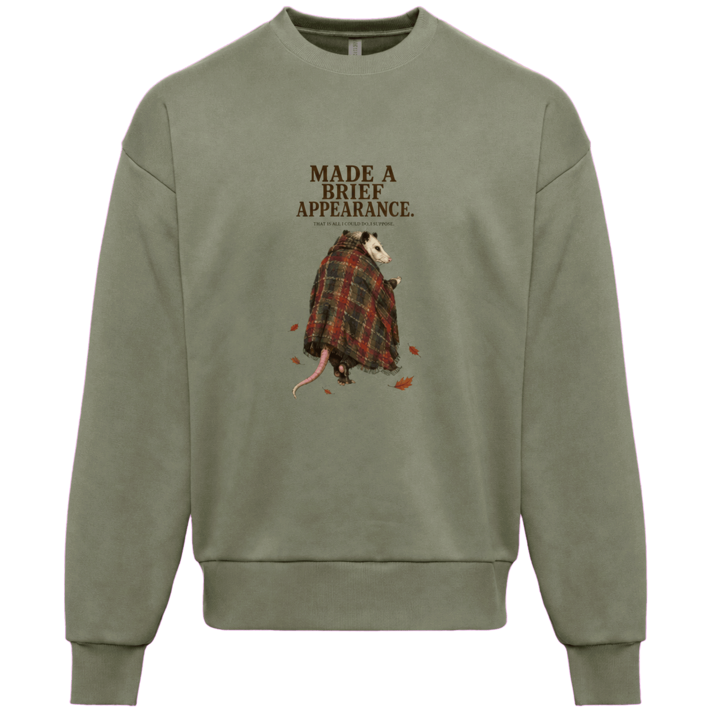 Opossums Appearance - Sweater