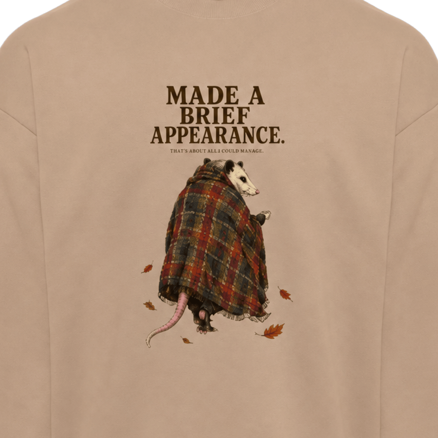 Opossums Appearance - Sweater
