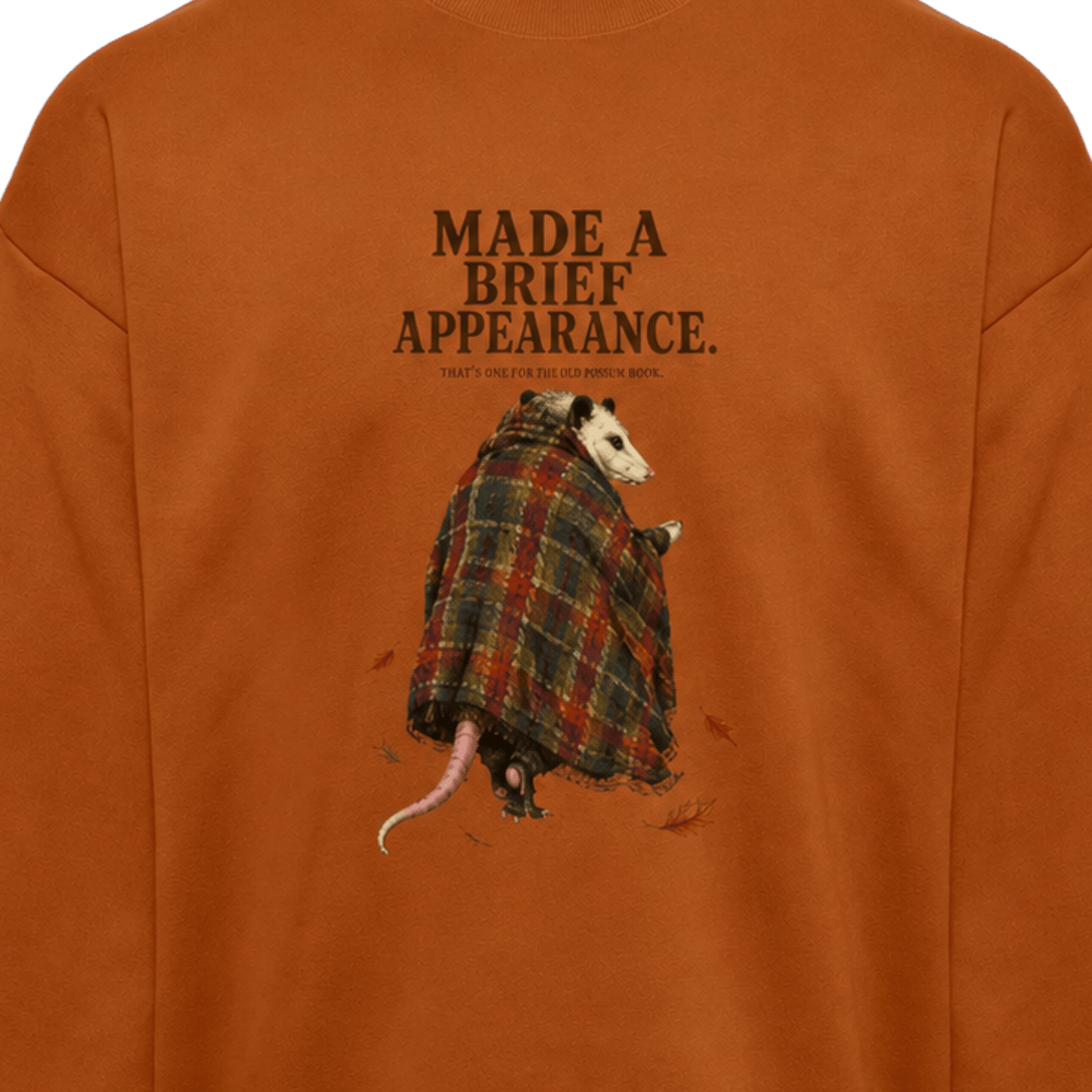 Opossums Appearance - Sweater