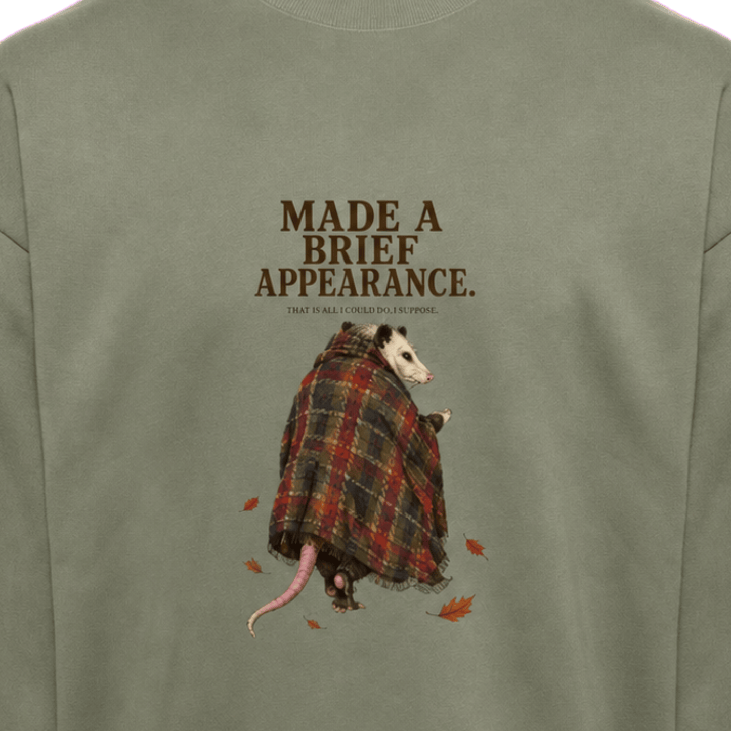 Opossums Appearance - Sweater