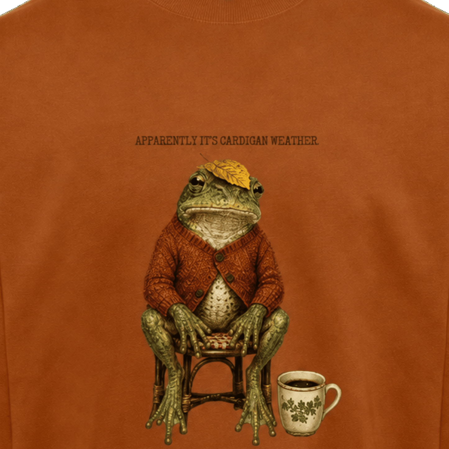 Frog's Cardigan - Sweater